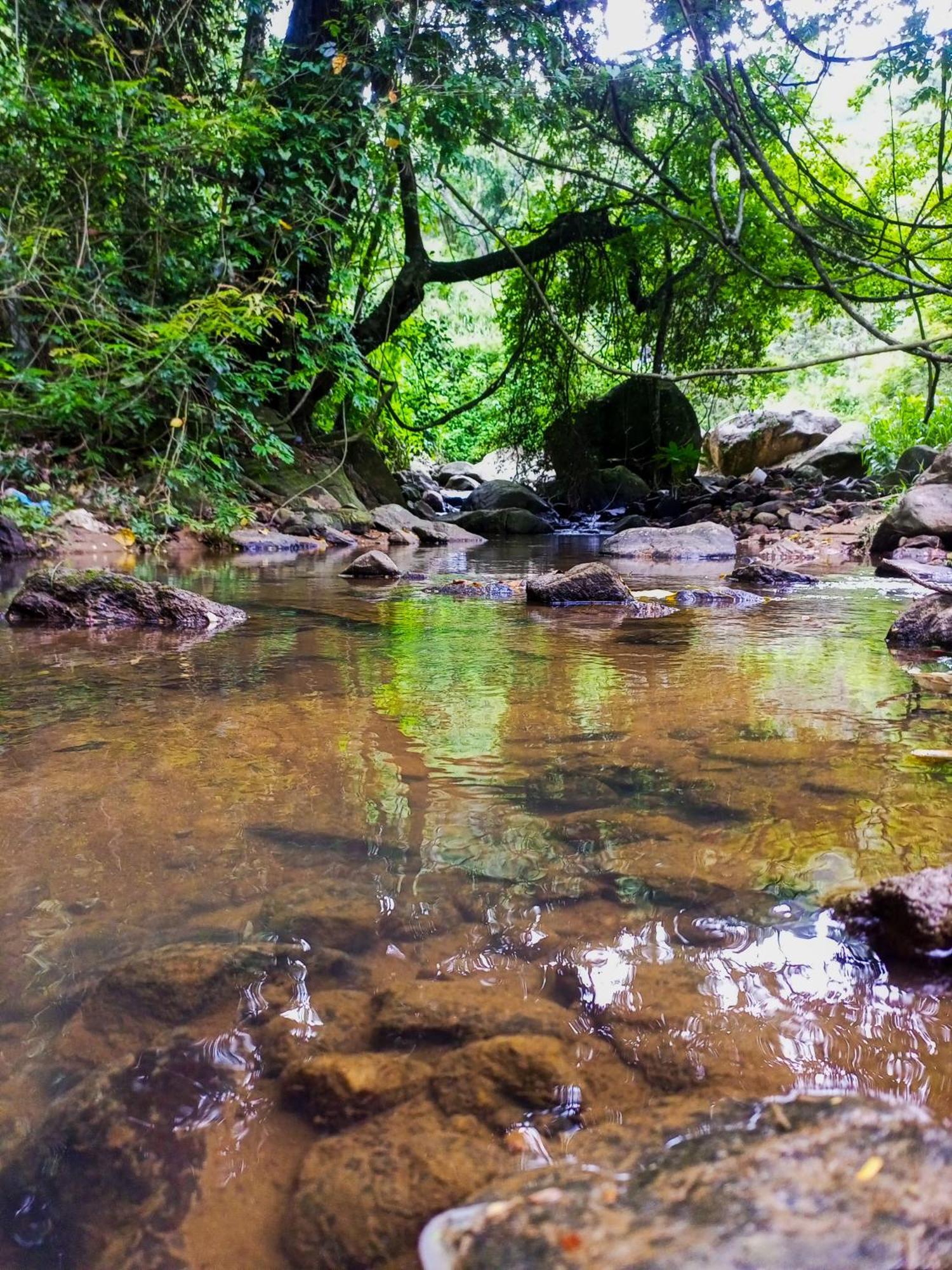 Creek Downhills Panzió Ella Kültér fotó