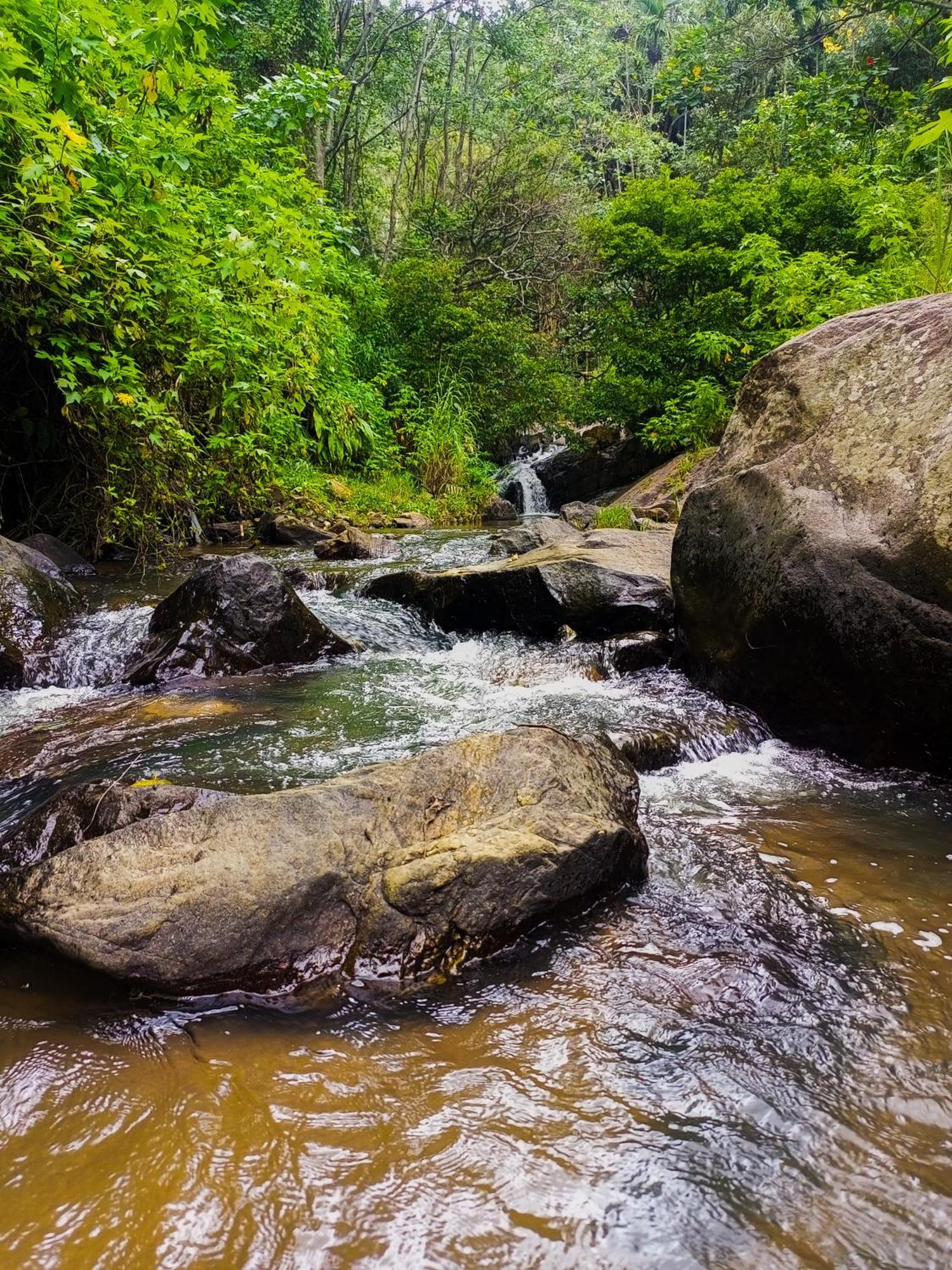Creek Downhills Panzió Ella Kültér fotó