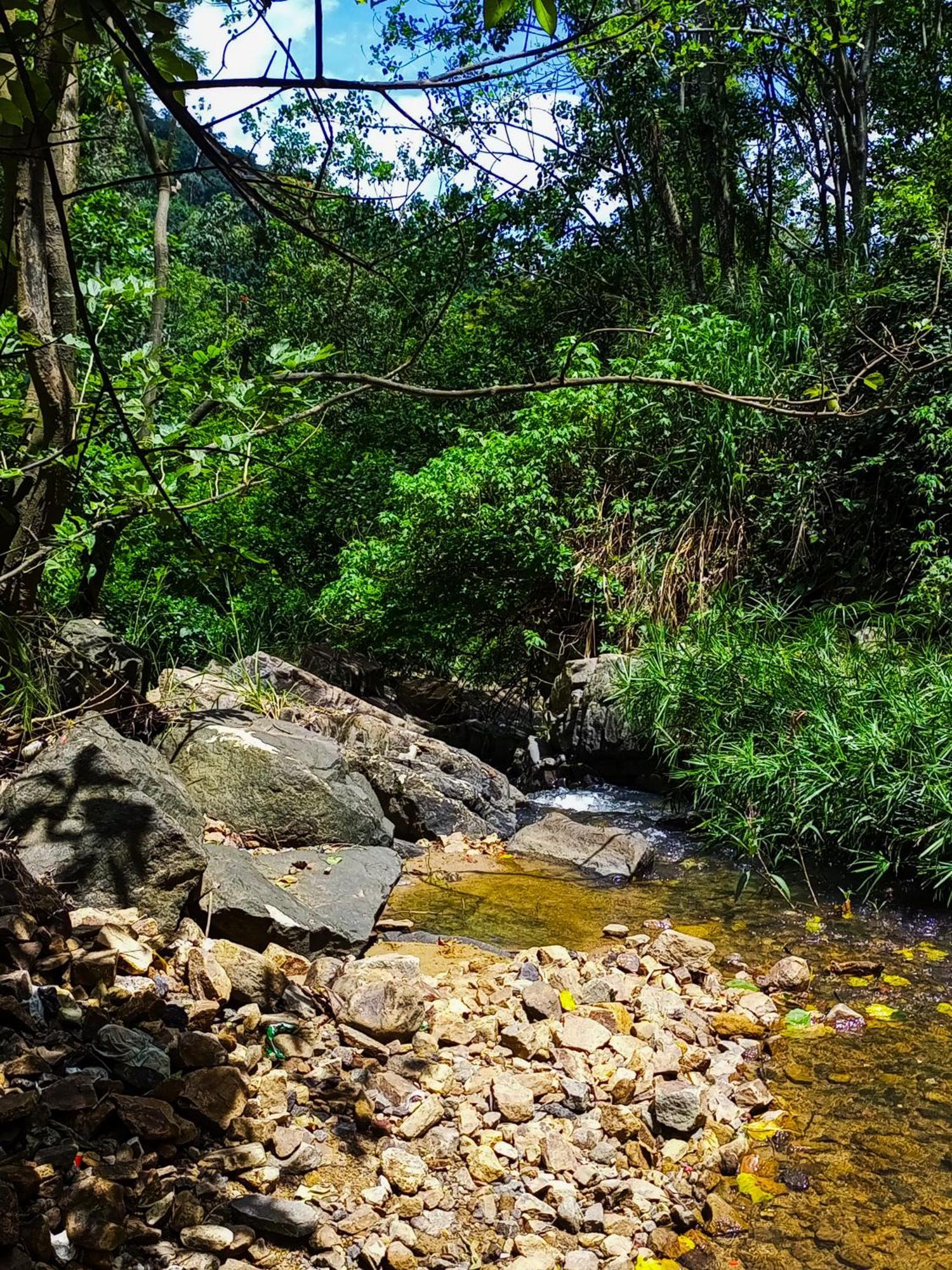 Creek Downhills Panzió Ella Kültér fotó
